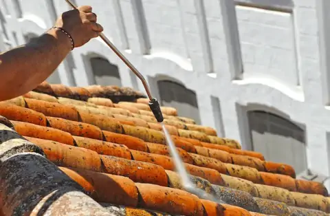 Démoussage de toiture à Pessines